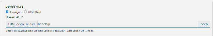 Uploadfeld anzeigen 1.png