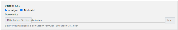 Uploadfeld anzeigen und pflichtfeld.png