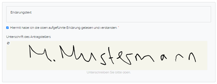 Erklärung Wizard ausgefüllt.png