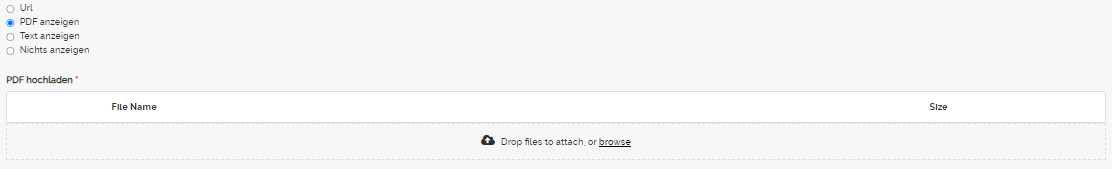 Pdf anzeigen leer.png