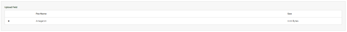 2024-01-20 11_59_05-Customizing.png