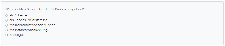 Angaben Ort der Maßnahme.png