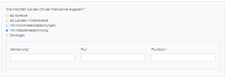 Angaben Ort der Maßnahme 4.png