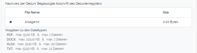 Angaben erster Ehepartner 15.png