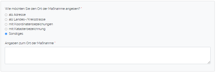 Angaben Ort der Maßnahme 5.png