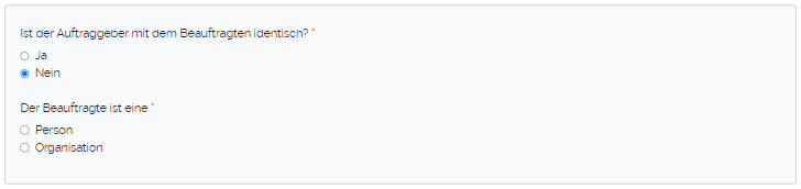Angaben zum Beauftragten 1.png