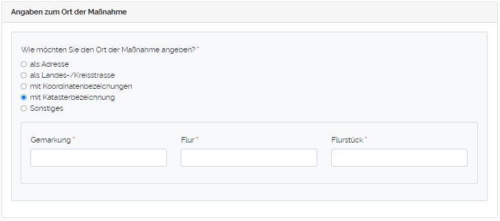 Angaben zur Maßnahme 11.png