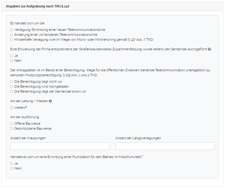 Angaben zur Aufgrabung.png