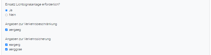 Angaben zur verkehrsrechtlichen Ordnung 5.png