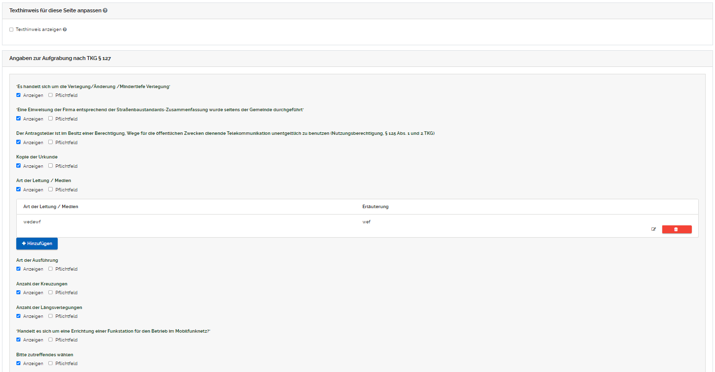 Angaben zur Aufgrabung.png